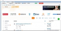 GITEE网站主页自动全发全采集软件